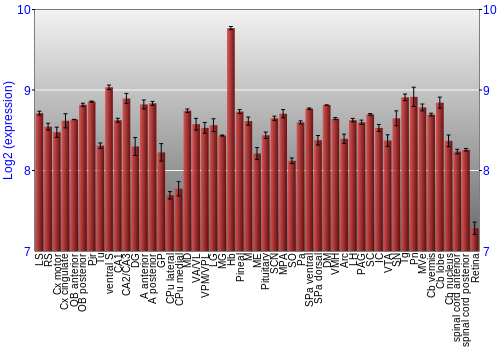 Expression graph