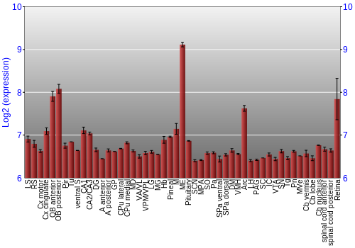 Expression graph