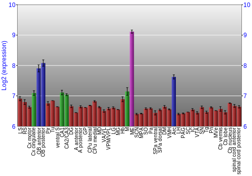 Multi-state expression graph