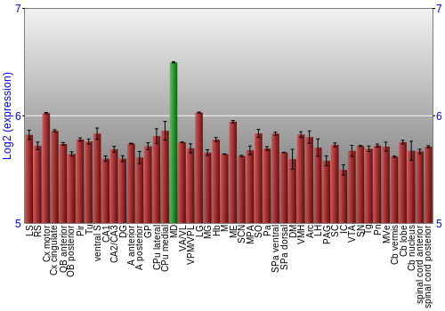 Multi-state expression graph
