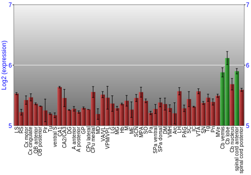 Multi-state expression graph