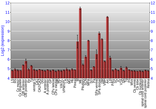 Expression graph