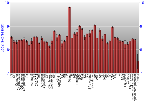 Expression graph