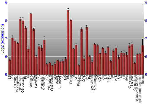 Expression graph