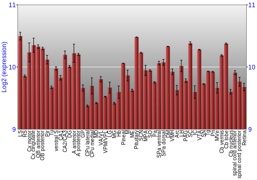Expression graph
