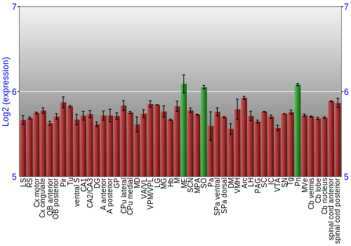 Multi-state expression graph