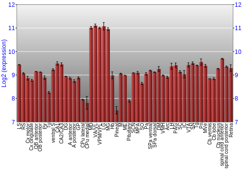 Expression graph