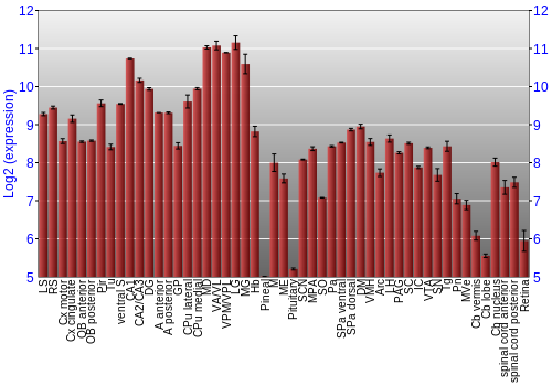 Expression graph