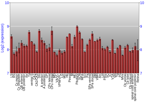 Expression graph