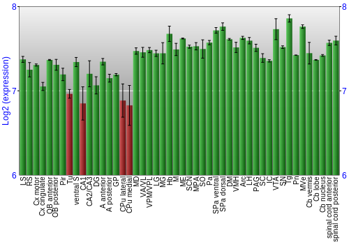 Multi-state expression graph