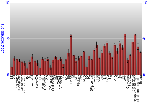 Expression graph