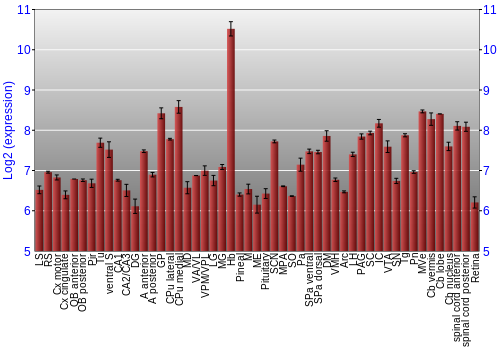 Expression graph