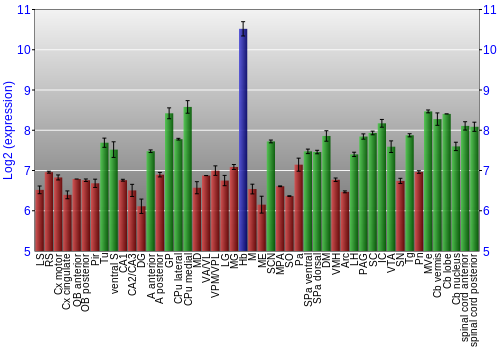 Multi-state expression graph