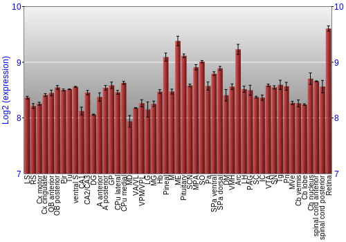 Expression graph