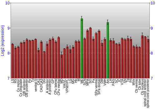 Multi-state expression graph