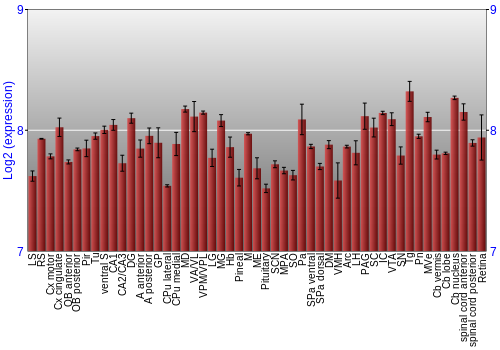 Expression graph