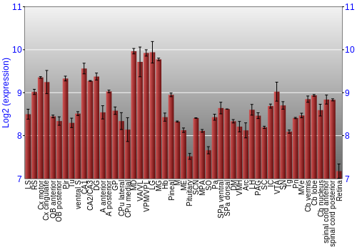 Expression graph