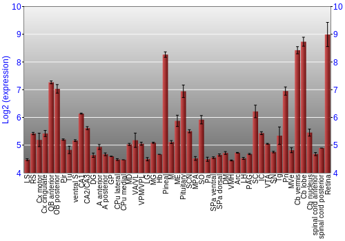 Expression graph