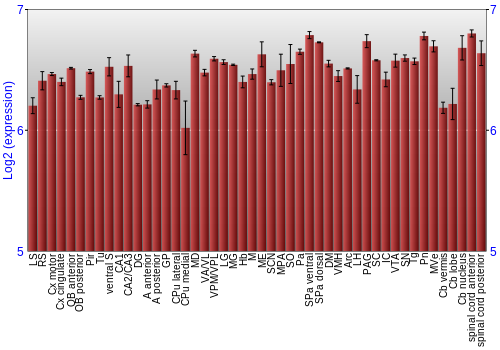 Multi-state expression graph