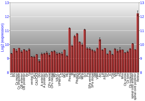 Expression graph