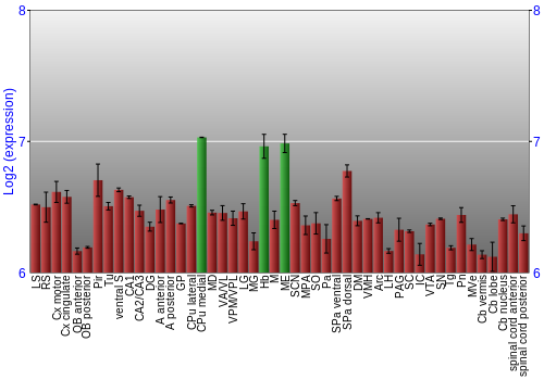 Multi-state expression graph