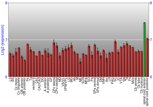 Multi-state expression graph