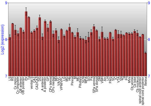 Expression graph