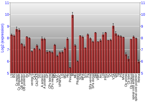 Expression graph