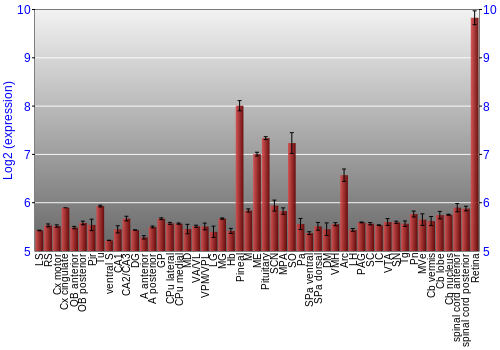 Expression graph