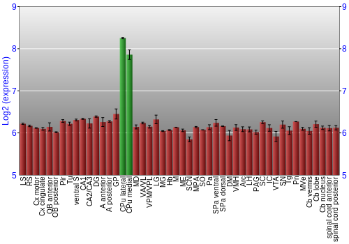Multi-state expression graph