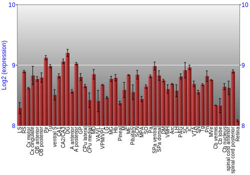 Expression graph