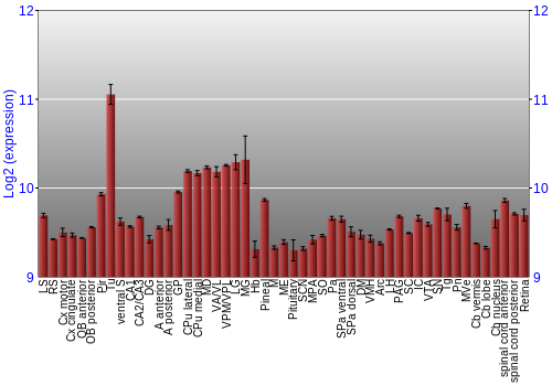Expression graph