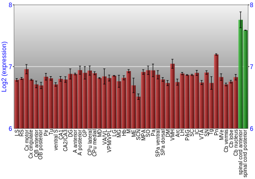 Multi-state expression graph