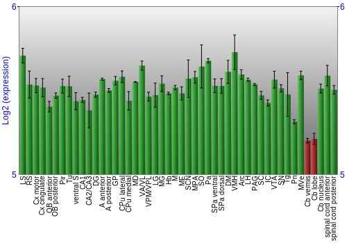Multi-state expression graph