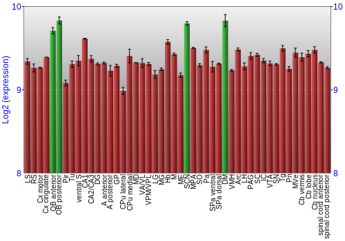 Multi-state expression graph
