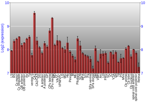 Expression graph