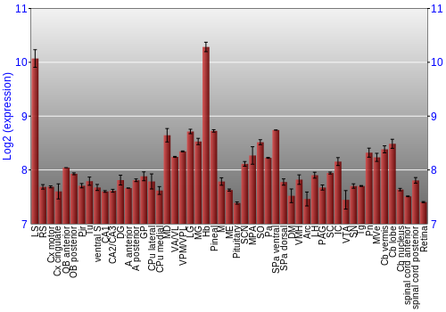 Expression graph