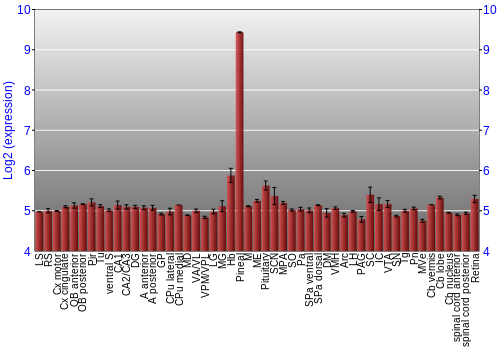 Expression graph