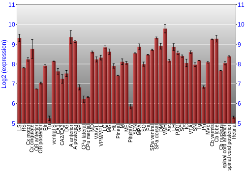 Expression graph