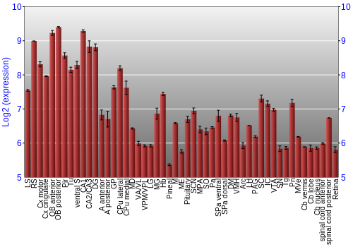 Expression graph