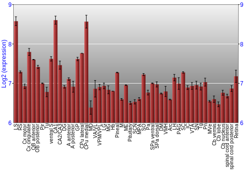 Expression graph