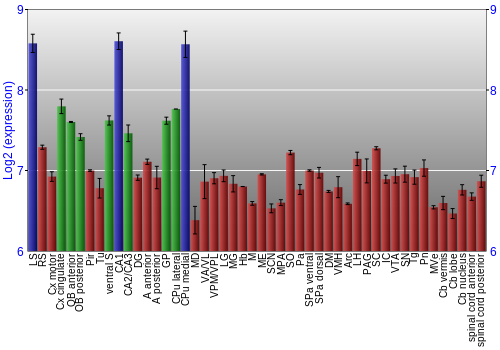Multi-state expression graph
