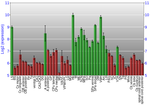 Multi-state expression graph