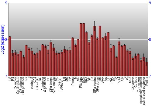 Expression graph