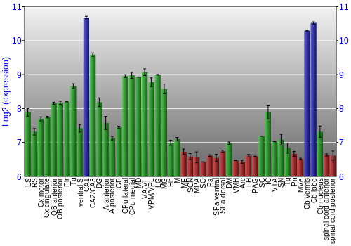Multi-state expression graph