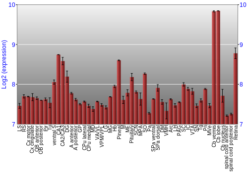 Expression graph
