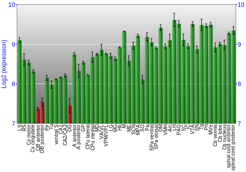 Multi-state expression graph
