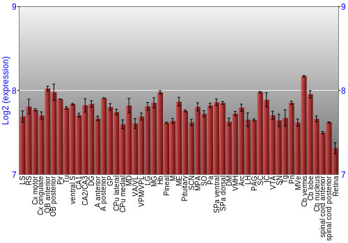 Expression graph