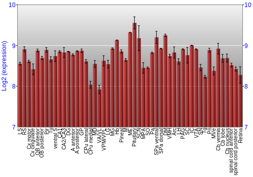 Expression graph