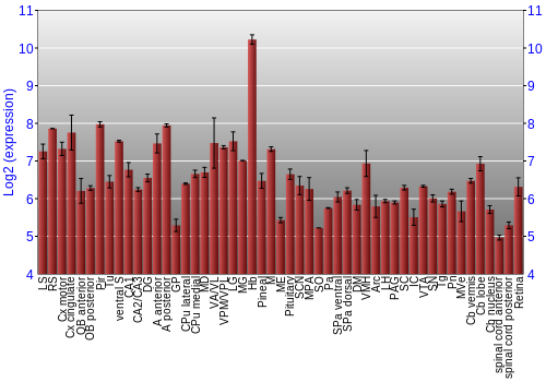 Expression graph
